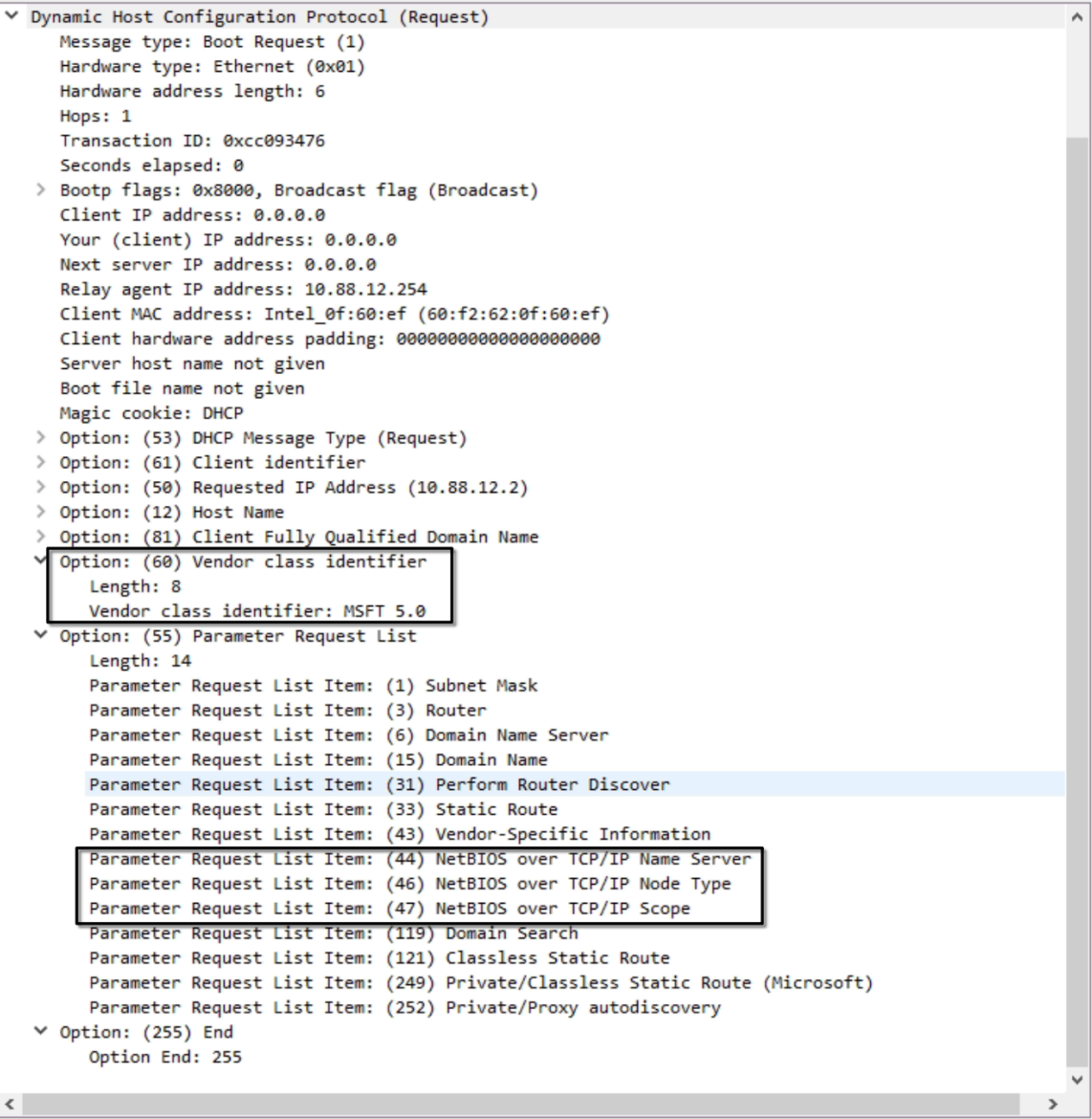 A DHCP Request coming from a Windows Host.